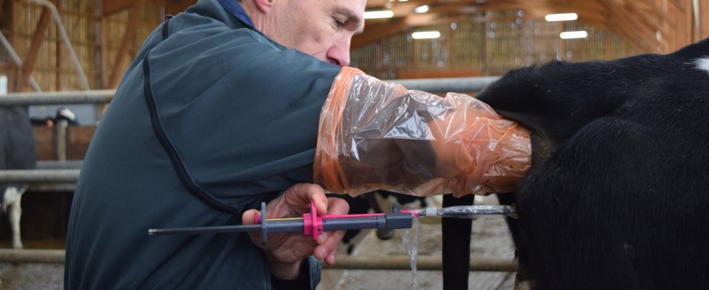 xtremia insemination profonde sur prim holstein