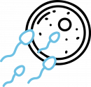 Icône de spermatozoïdes fécondant un ovule